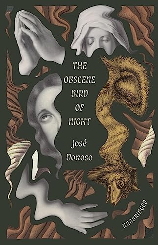 کاور کتاب The Obscene Bird of Night