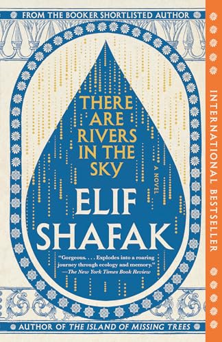 کاور کتاب There Are Rivers in the Sky: A novel