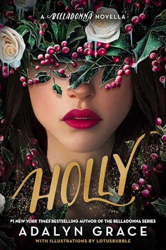 کاور کتاب Holly