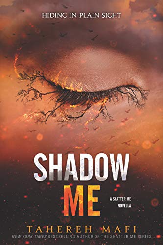 کاور کتاب Shadow Me book 4.5