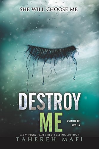 کاور کتاب Destroy Me 1.5 book 5