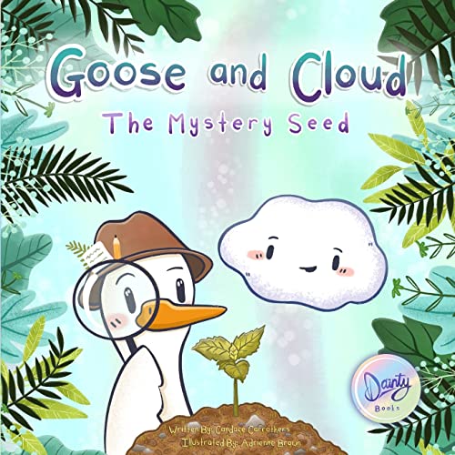 کاور کتاب Goose and cloud