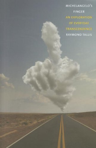 کاور کتاب Michelangelo's Finger: An Exploration of Everyday Transcendence