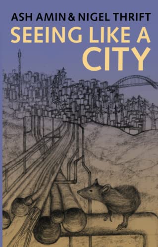 کاور کتاب Seeing Like a City