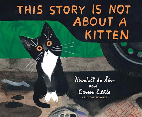 کاور کتاب This story is not about a kitten
