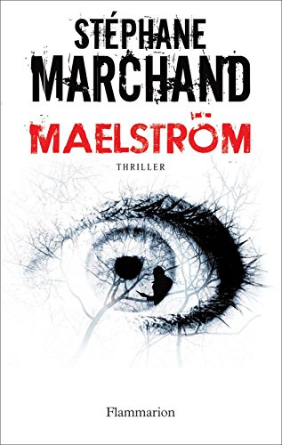 کاور کتاب Maelström