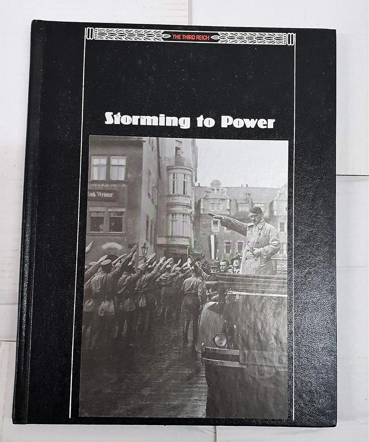 کاور کتاب Storming to power