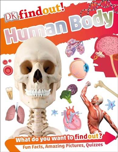 کاور کتاب DKfindout! Human Body