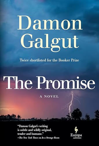 کاور کتاب The Promise