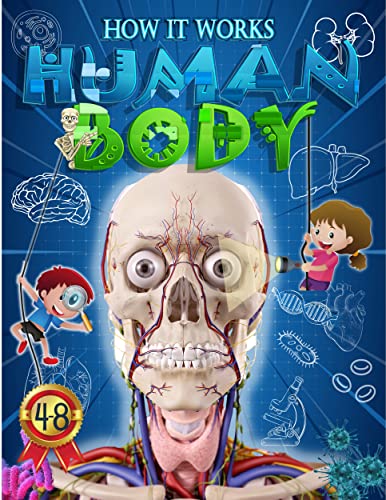 کاور کتاب How the Human Body Works