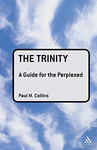 کاور کتاب The Trinity: A Guide for the Perplexed Broché – 19 octobre 2008