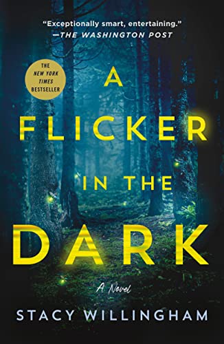 کاور کتاب A Flicker in the Dark