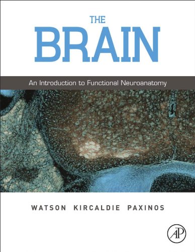 کاور کتاب The Brain: An Introduction to Functional Neuroanatomy 1st Edition