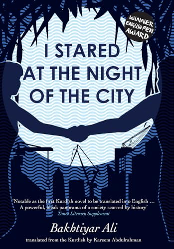 کاور کتاب I stared at the night of the city