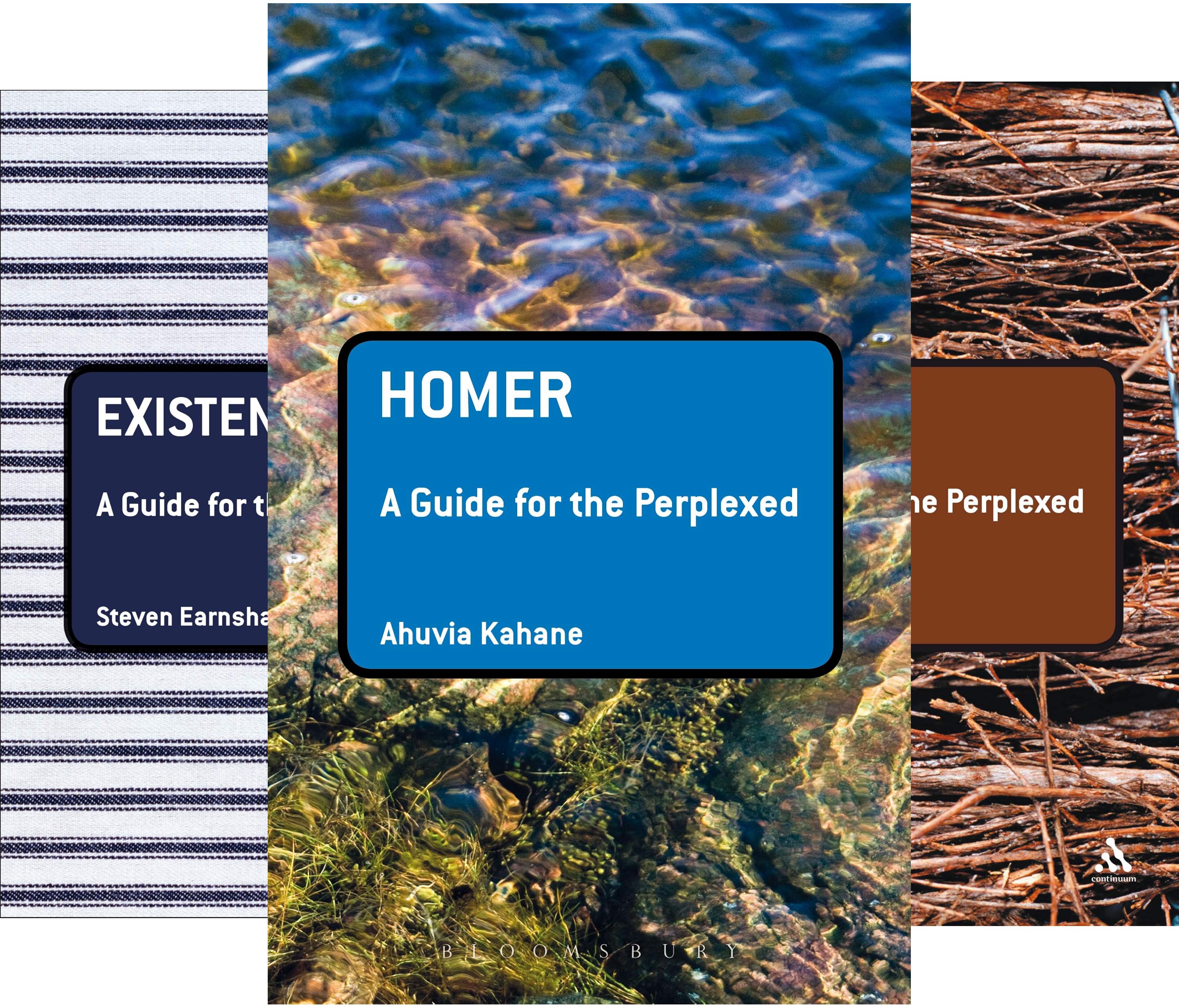 کاور کتاب Guides for the Perplexed (65 book series)
