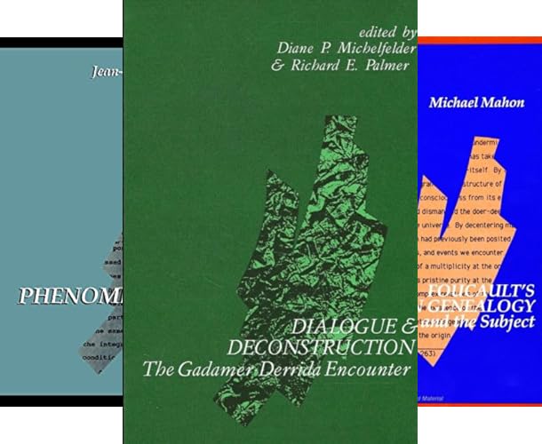 کاور کتاب SUNY series in Contemporary Continental Philosophy (158 book series)