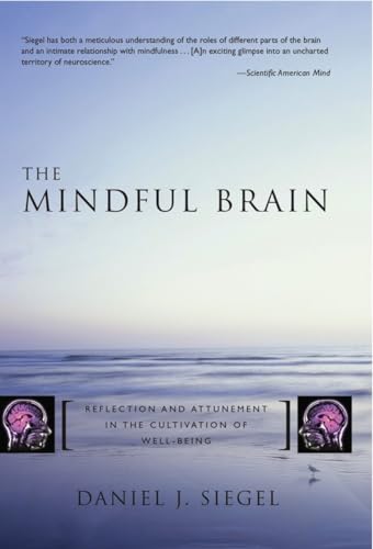 کاور کتاب The Mindful Brain
