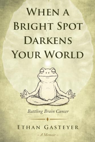 کاور کتاب When the Bright Spot Darkens