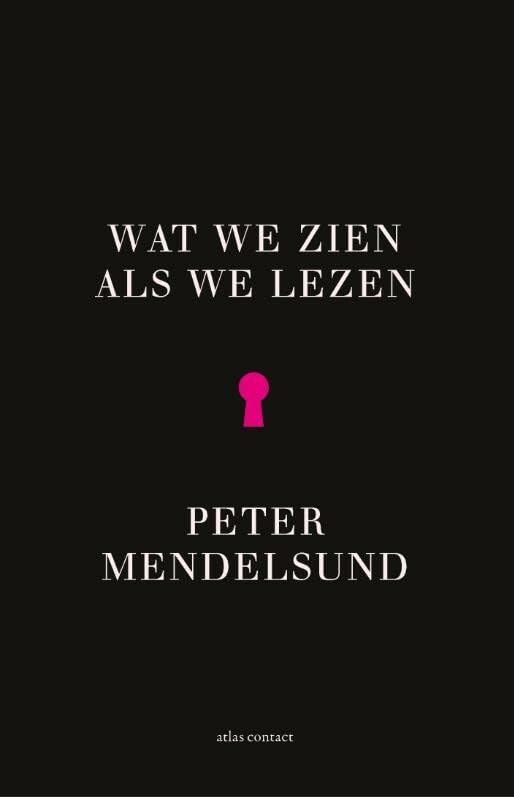 کاور کتاب Wat zien als lezen: fenomenologie